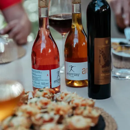 Na Wzgorzu W Zielonym Sercu Lodzi Przy Parku Krajobrazowym Ruda Wiilowa 3* לודז'